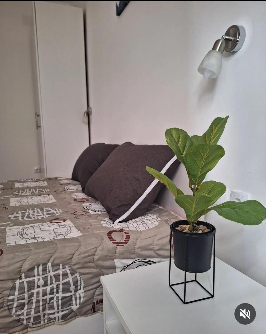 Apartmani Koki Kladovo Exterior foto